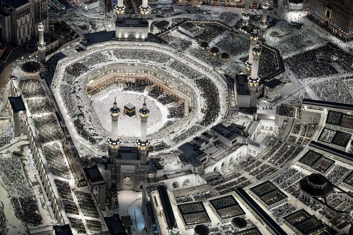 محمد الرطيان tweet media