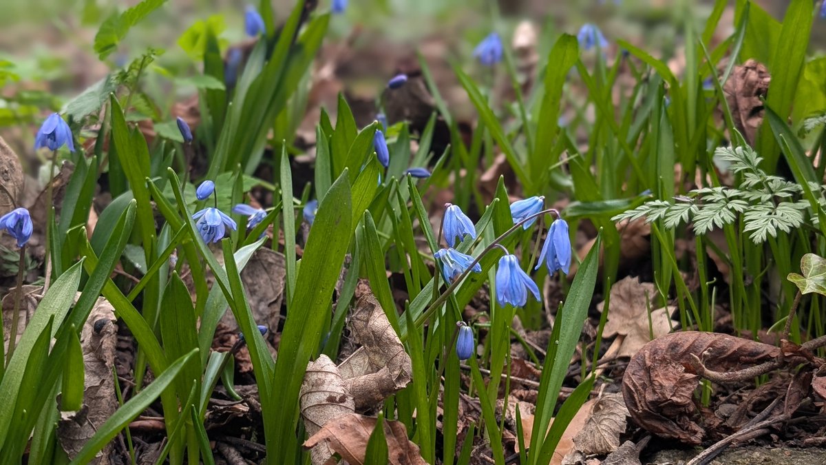 James Common tweet media