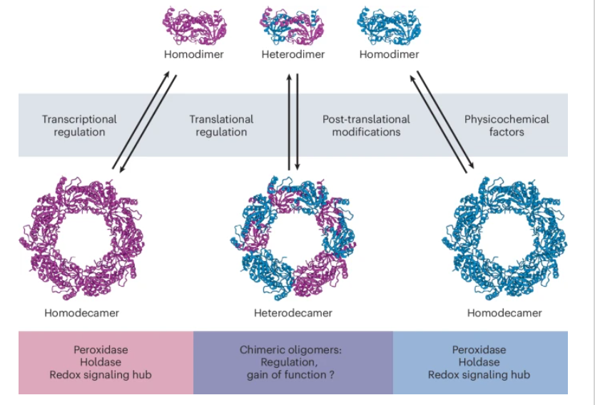 Nature Chemical Biology tweet media
