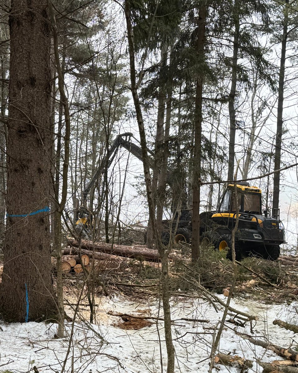 Region of Waterloo tweet media