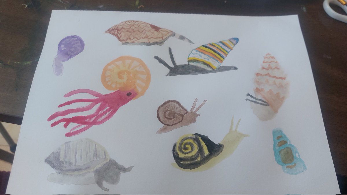 Dragonfly tweet media