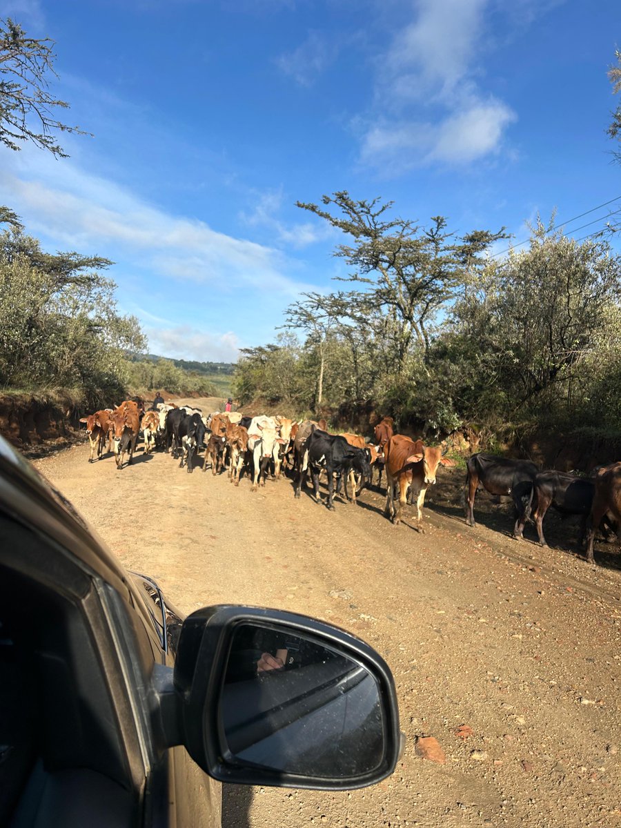 Josh McErlean tweet media