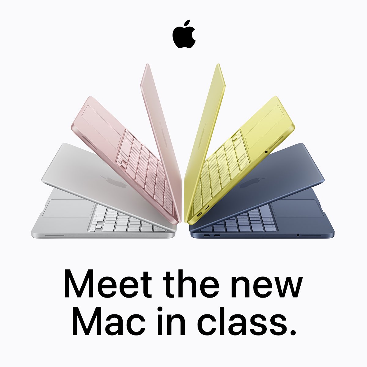 𝙹𝚊𝚜𝚘𝚗 𝙼𝚘𝚕𝚎𝚜𝚔𝚢 tweet media