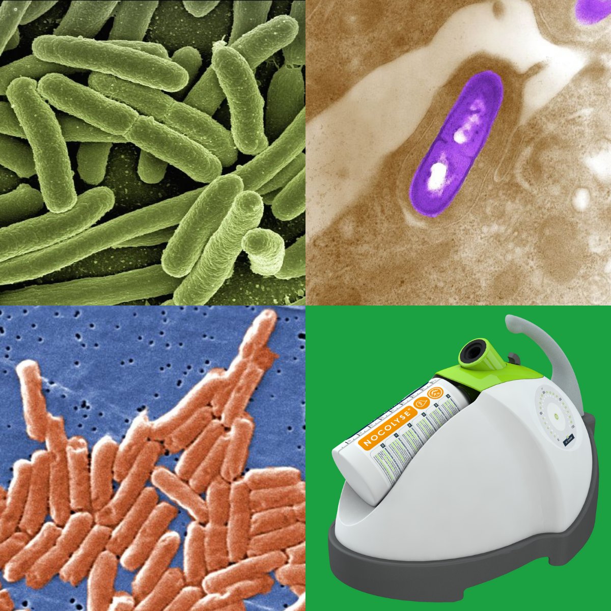 Innotec_Hygiene's tweet image. #Nocospray is effective against all kinds of pathogenic microorganisms which occur in the #foodindustry and reduces the risk of #contamination. ow.ly/ruA330sTsbI