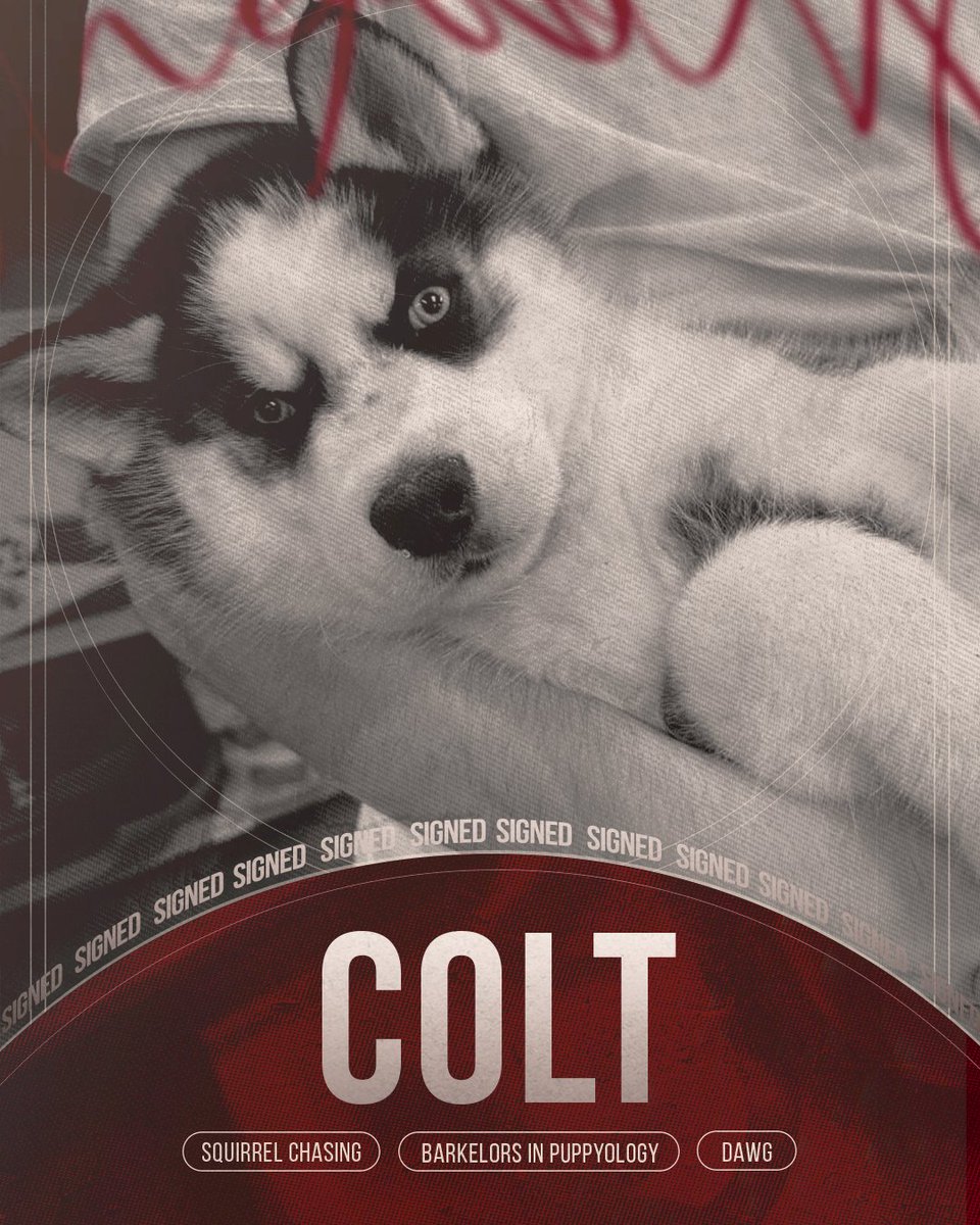 Cumberland University Esports tweet media