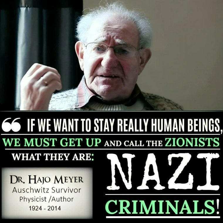 regrooves🇵🇸 tweet media