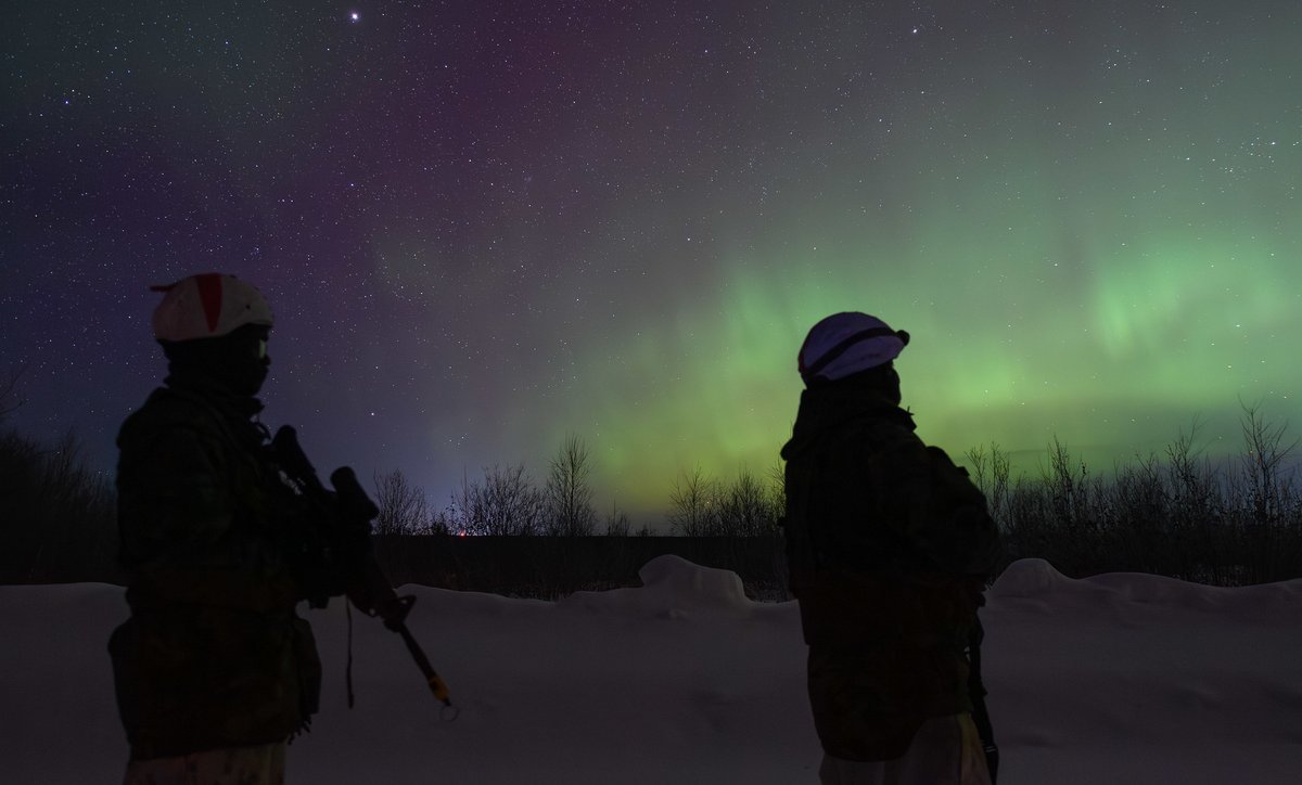 Canadian Army tweet media