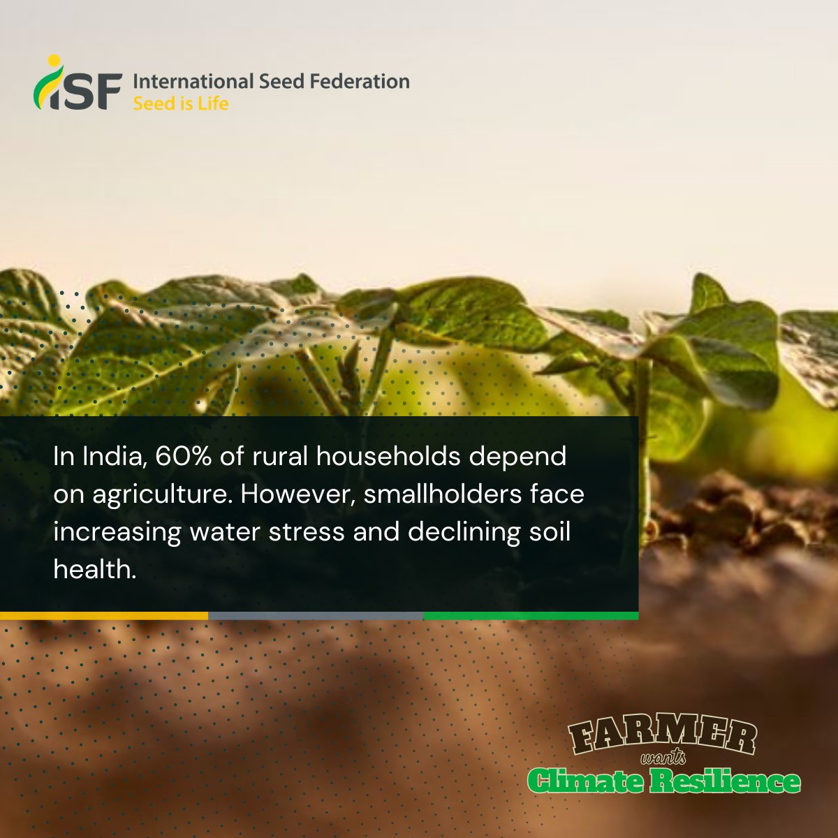 International Seed Federation tweet media