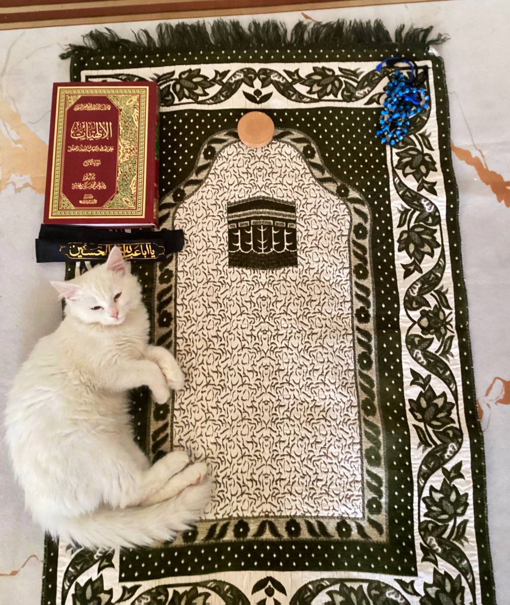 Muhammad Bāqir al-Ḥusaynī tweet media