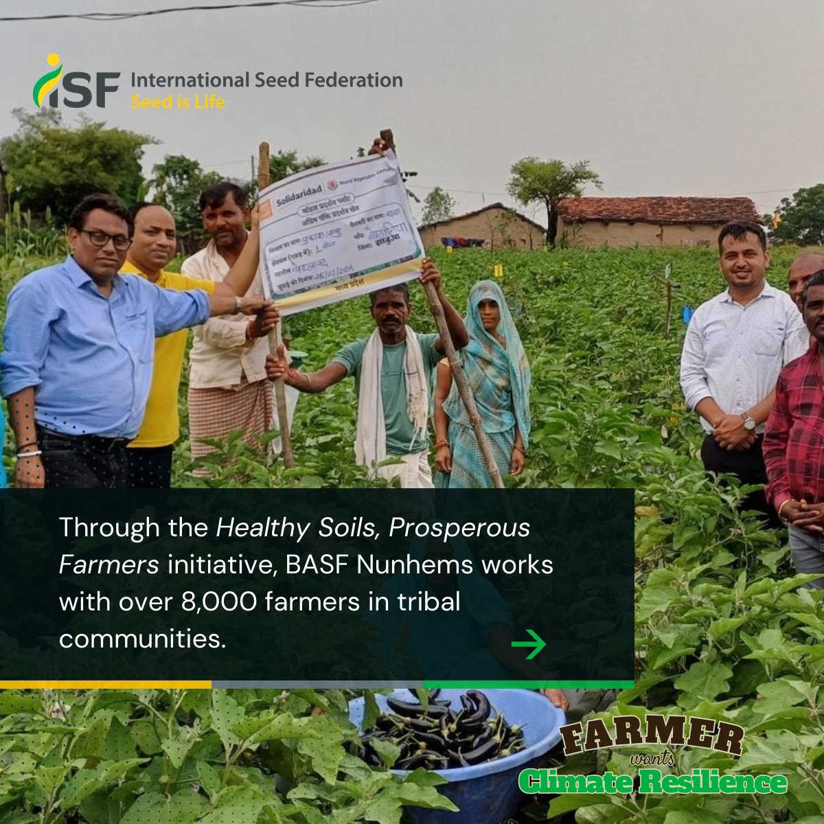 International Seed Federation tweet media