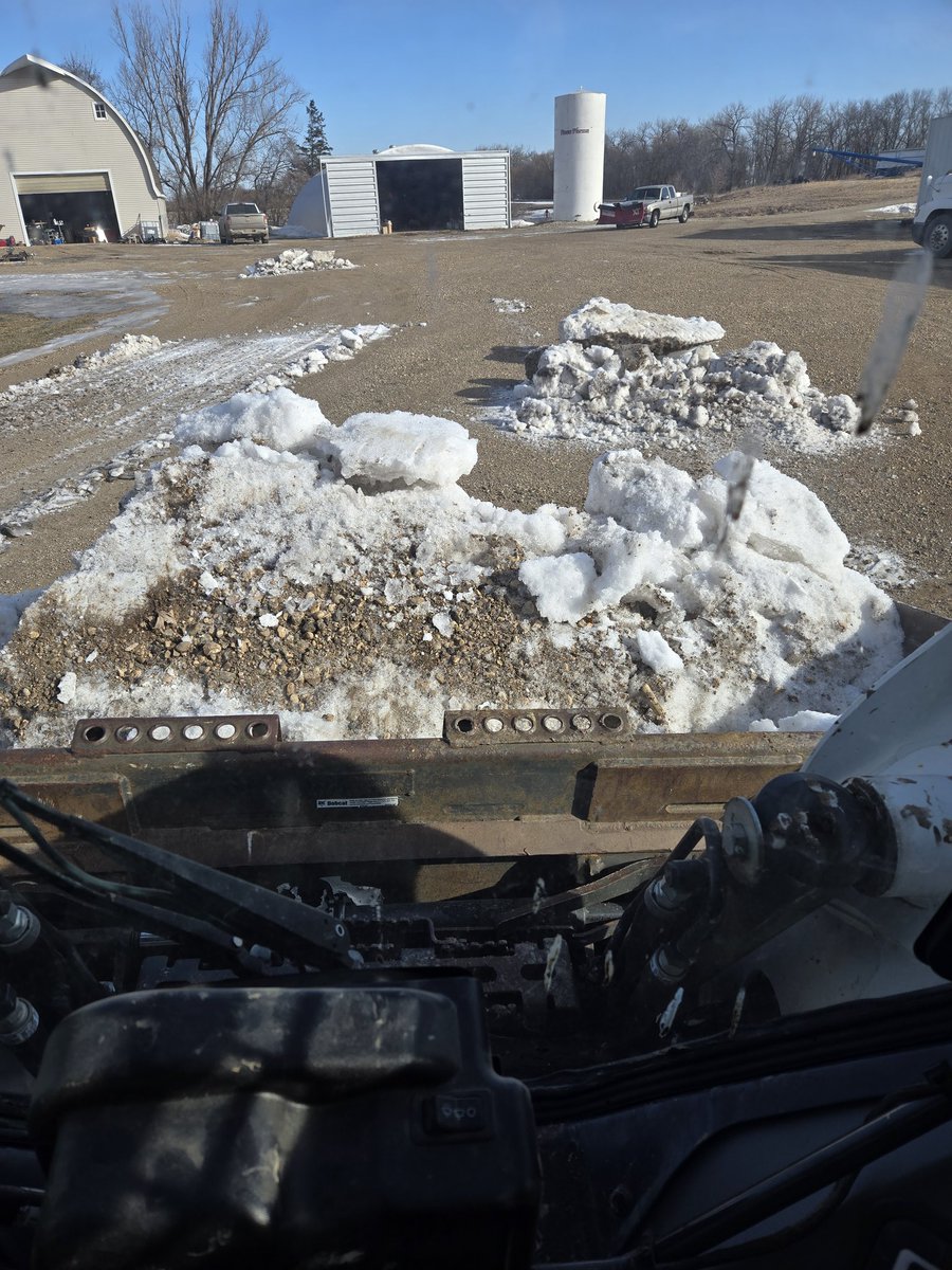 Peter Ness (Ness Farms) tweet media