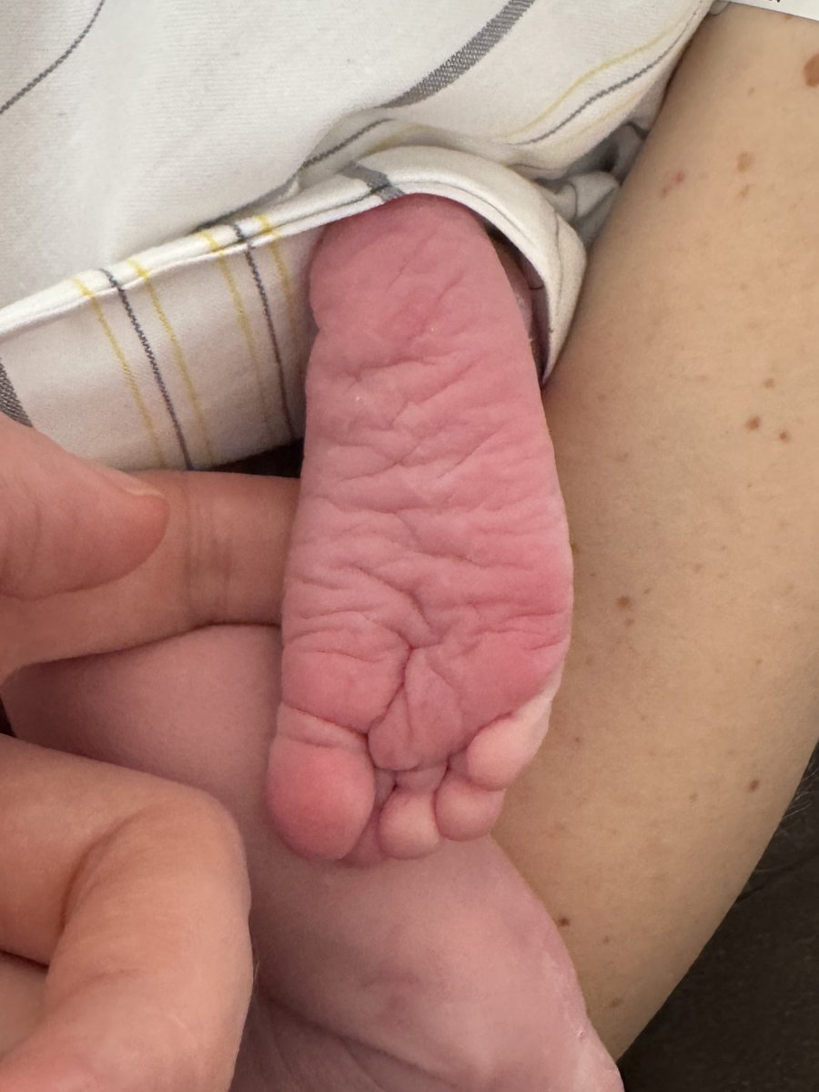 Alexander Hoff ❍ tweet media