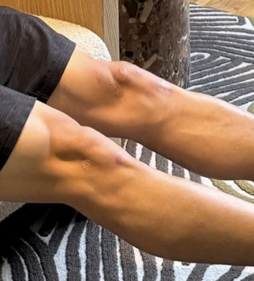 Maven.HL tweet media