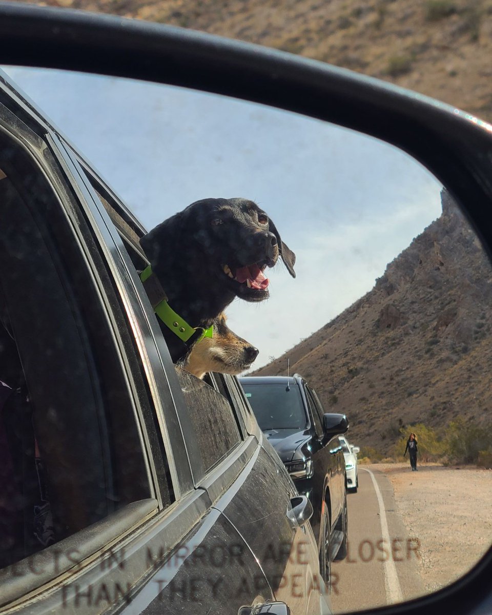 Pilot Flying J tweet media