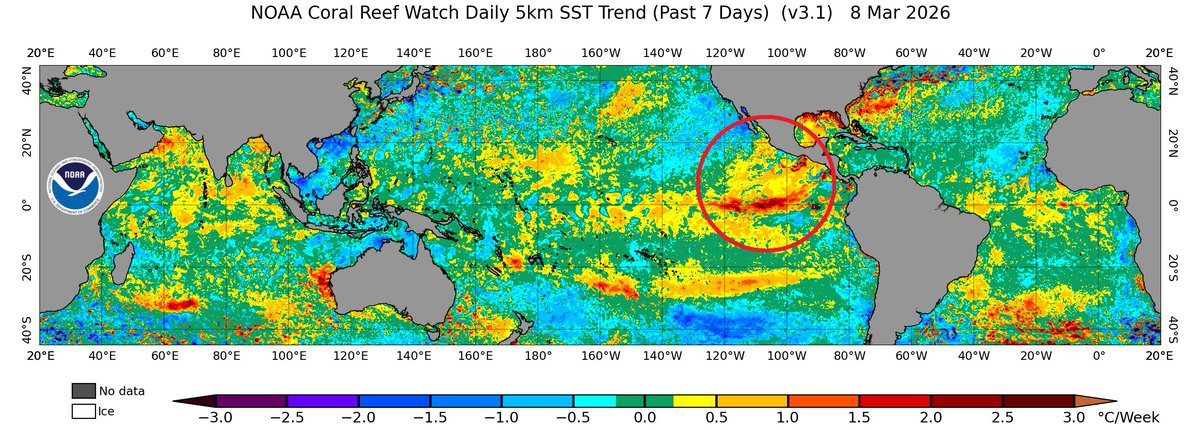Tomzijl's tweet image. sailing-dulce.nl/home/article-9… #ElNiño #superelniño #iranoorlog #zwarteregen #Libanon #wittefosfor Dinsdag 10-03-2026 In het recente verleden hebben we driemaal Super-El-Niño's meegemaakt: (1) jaren 1982 - 1983, (2) jaren 1997 - 1998 en (3) jaren 20215 - 2016. Vanaf 1900 waren er tot..