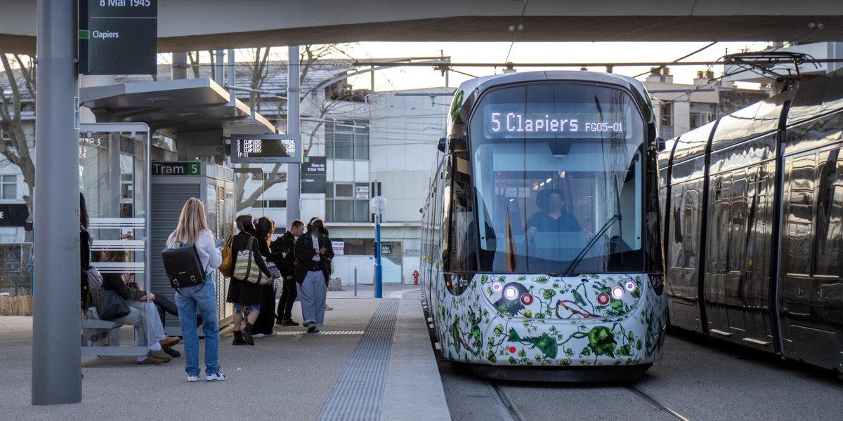 tamvoyages tweet media