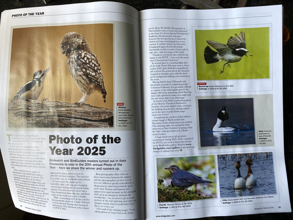 Paul Thomas tweet media