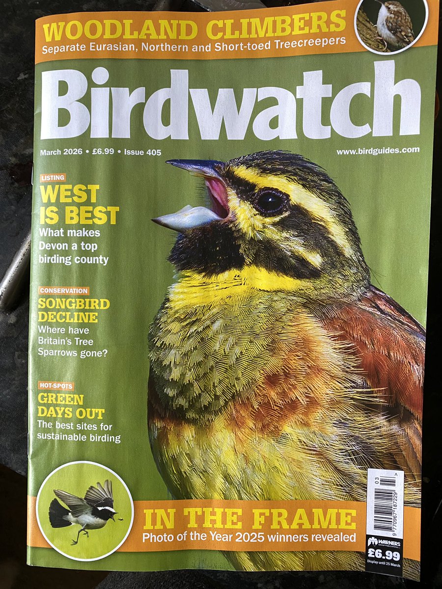 Paul Thomas tweet media