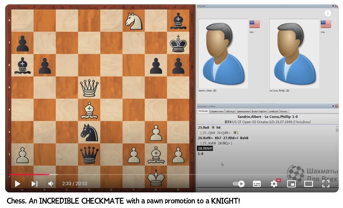 13 Cards tweet media