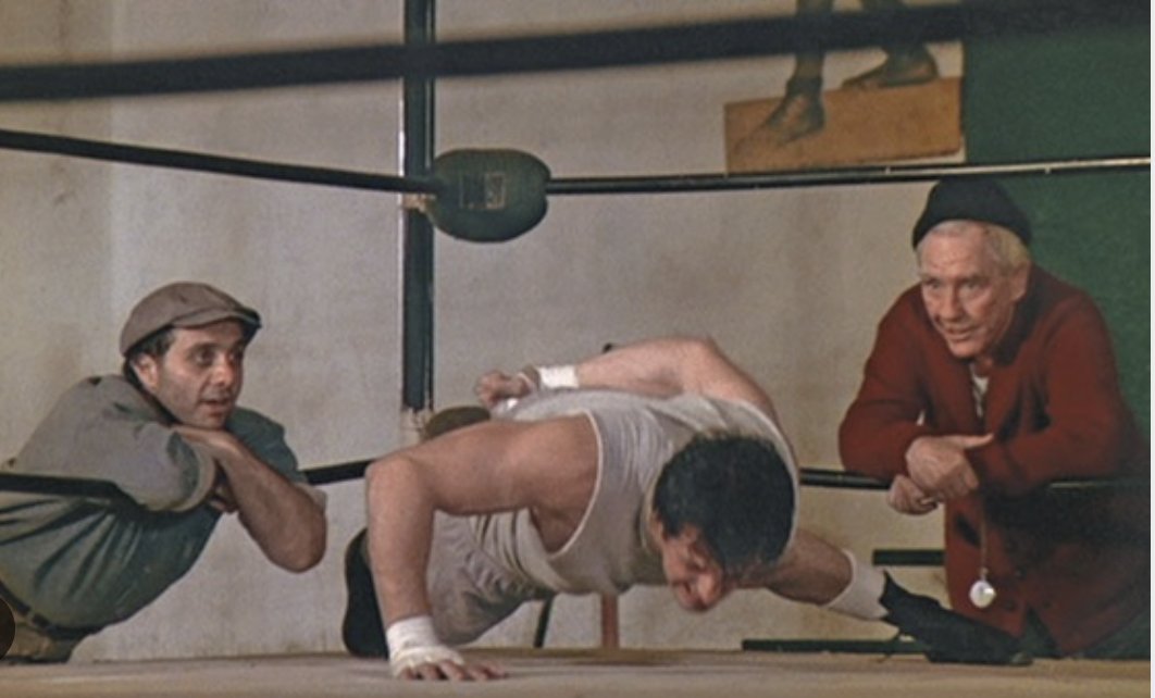 Jon Finkel📚💪 tweet media