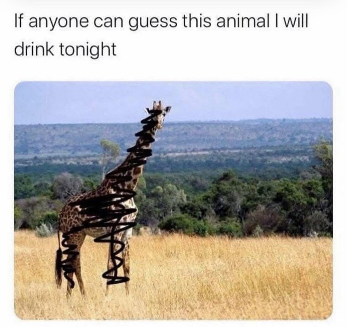 🇳🇱 uut Grunn 🇳🇱 🏳️‍🌈 tweet media