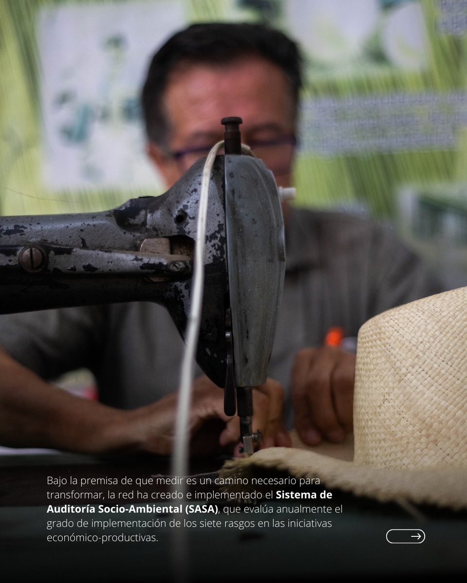 Ecojesuit tweet media