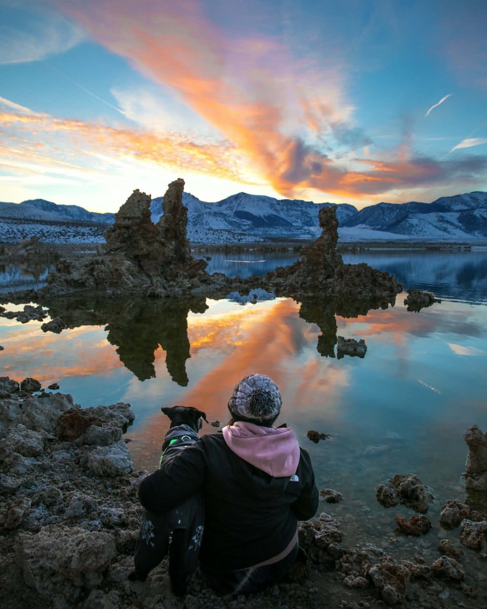 Pilot Flying J tweet media