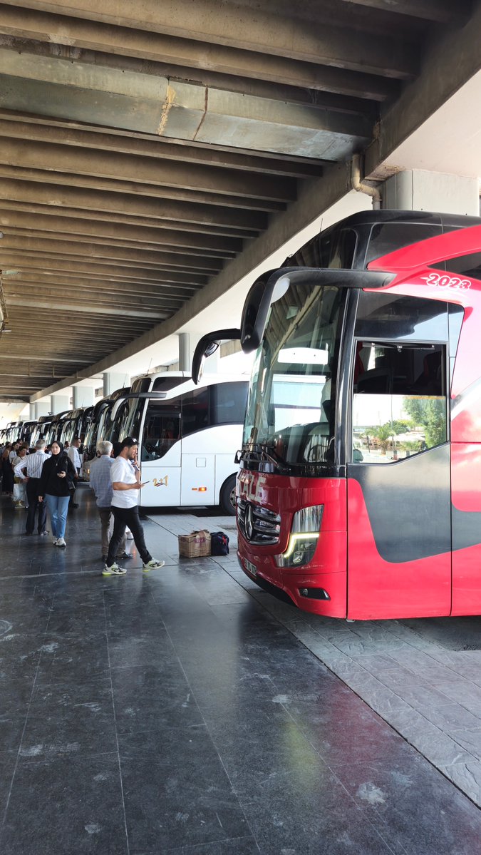 Lisa Morrow tweet media