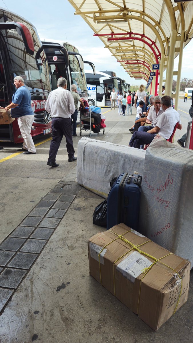 Lisa Morrow tweet media