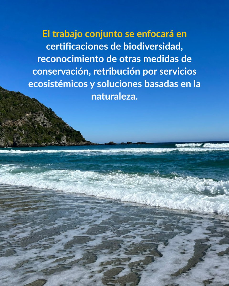 WWF Chile tweet media