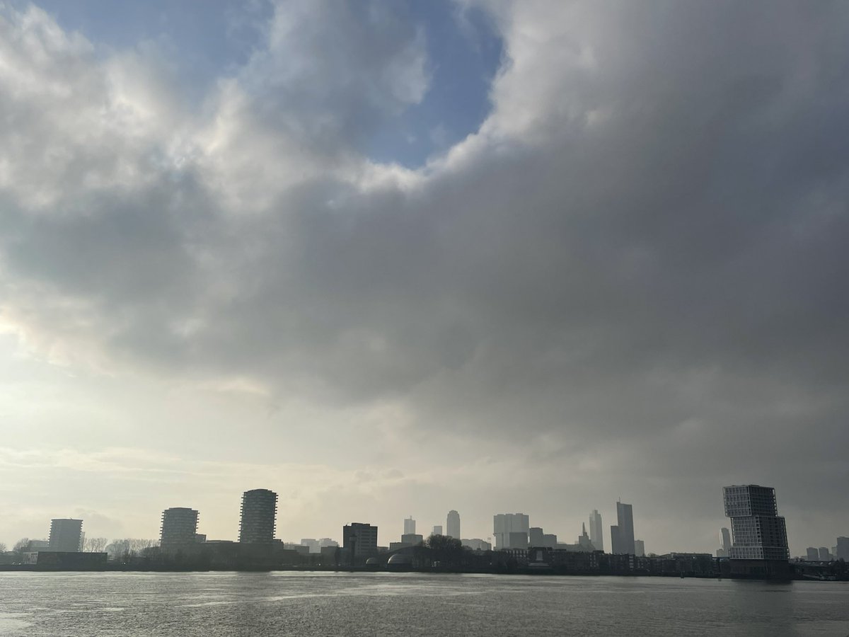 Marjolijn vd Assem tweet media