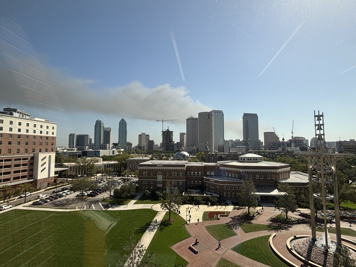 Mason Trinh 🇺🇸💙🍀 tweet media