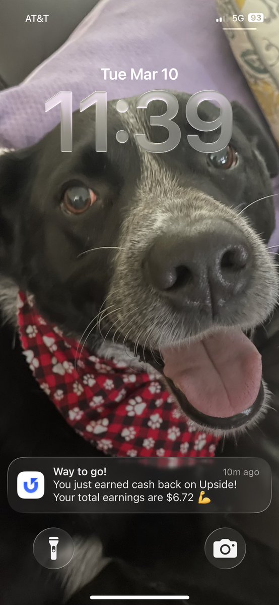 Jim Campbell tweet media