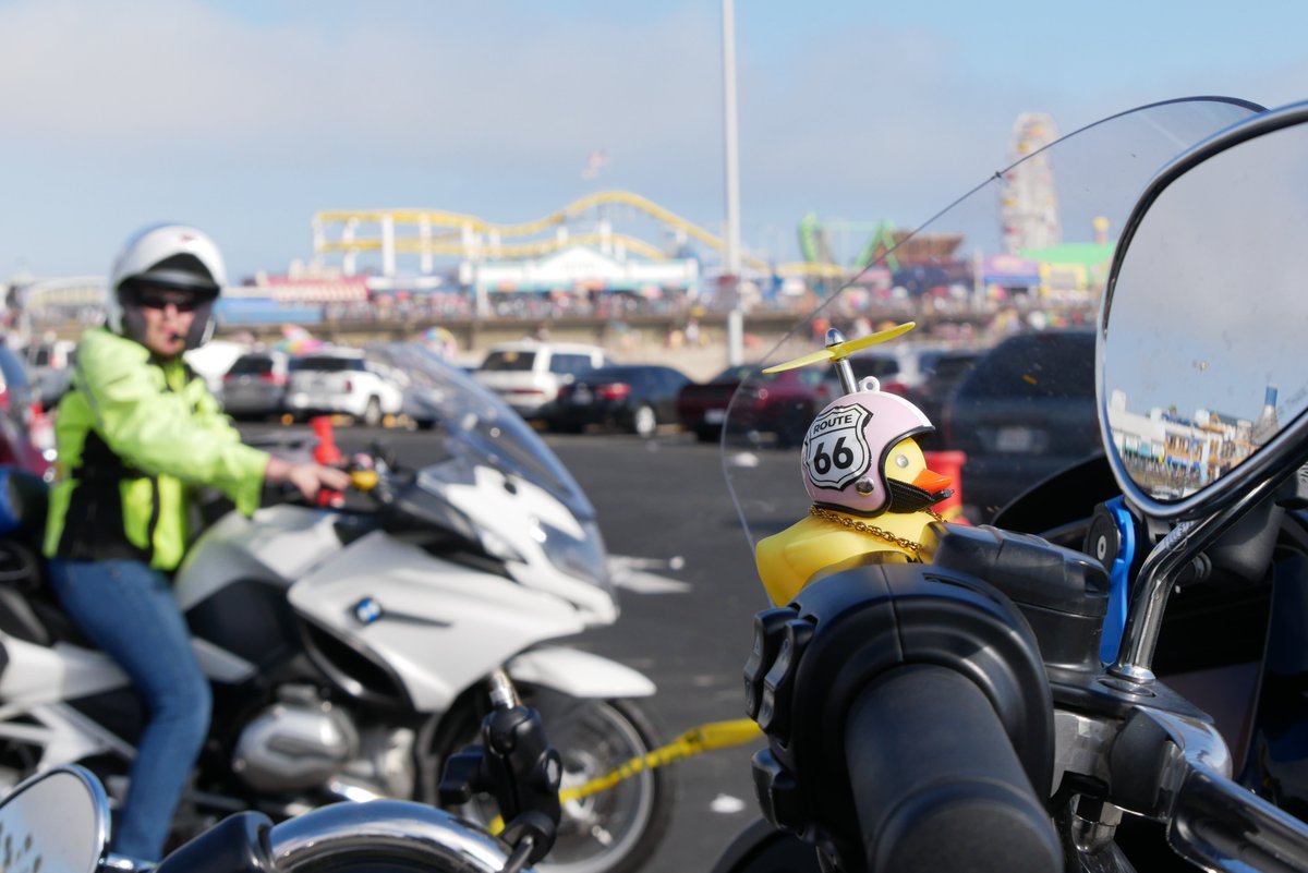 McCausland College of Arts and Sciences tweet media