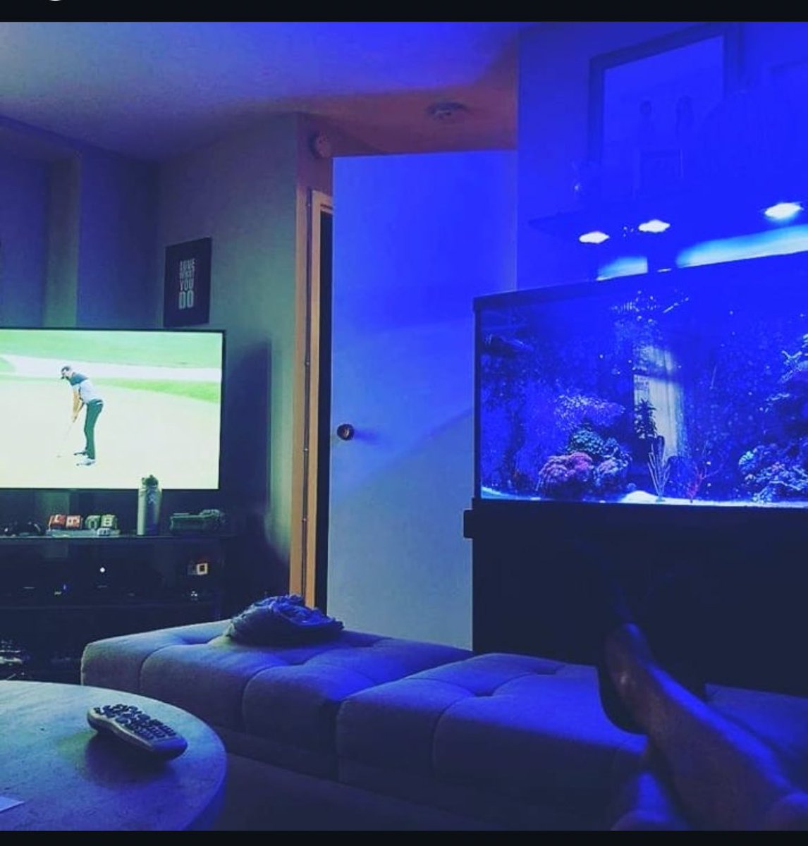 Big Fish! tweet media