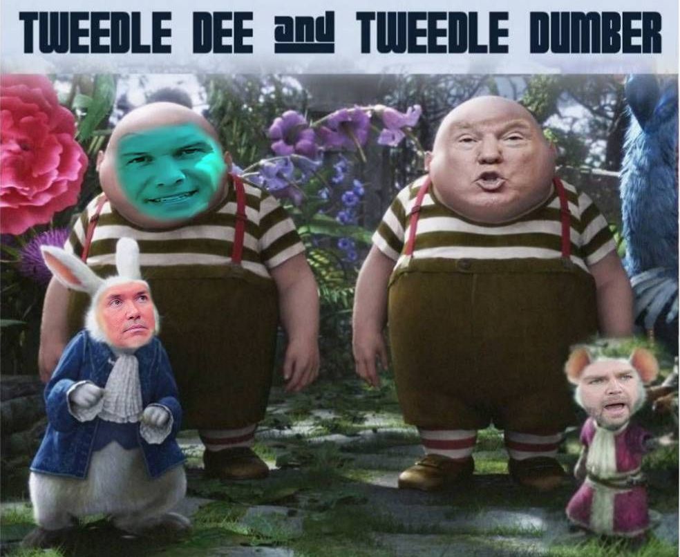 LedByDonkeys tweet media