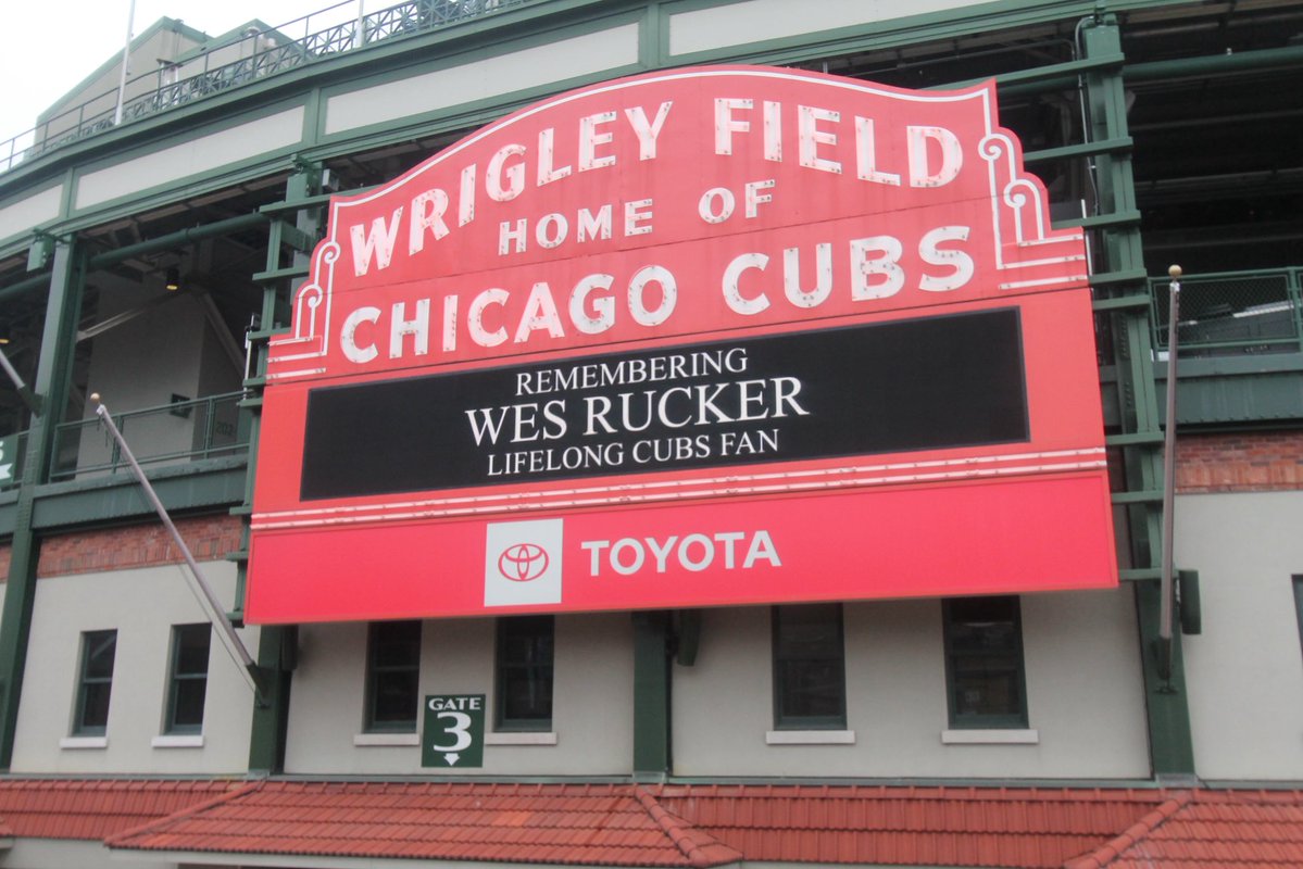 Mike Wilson tweet media