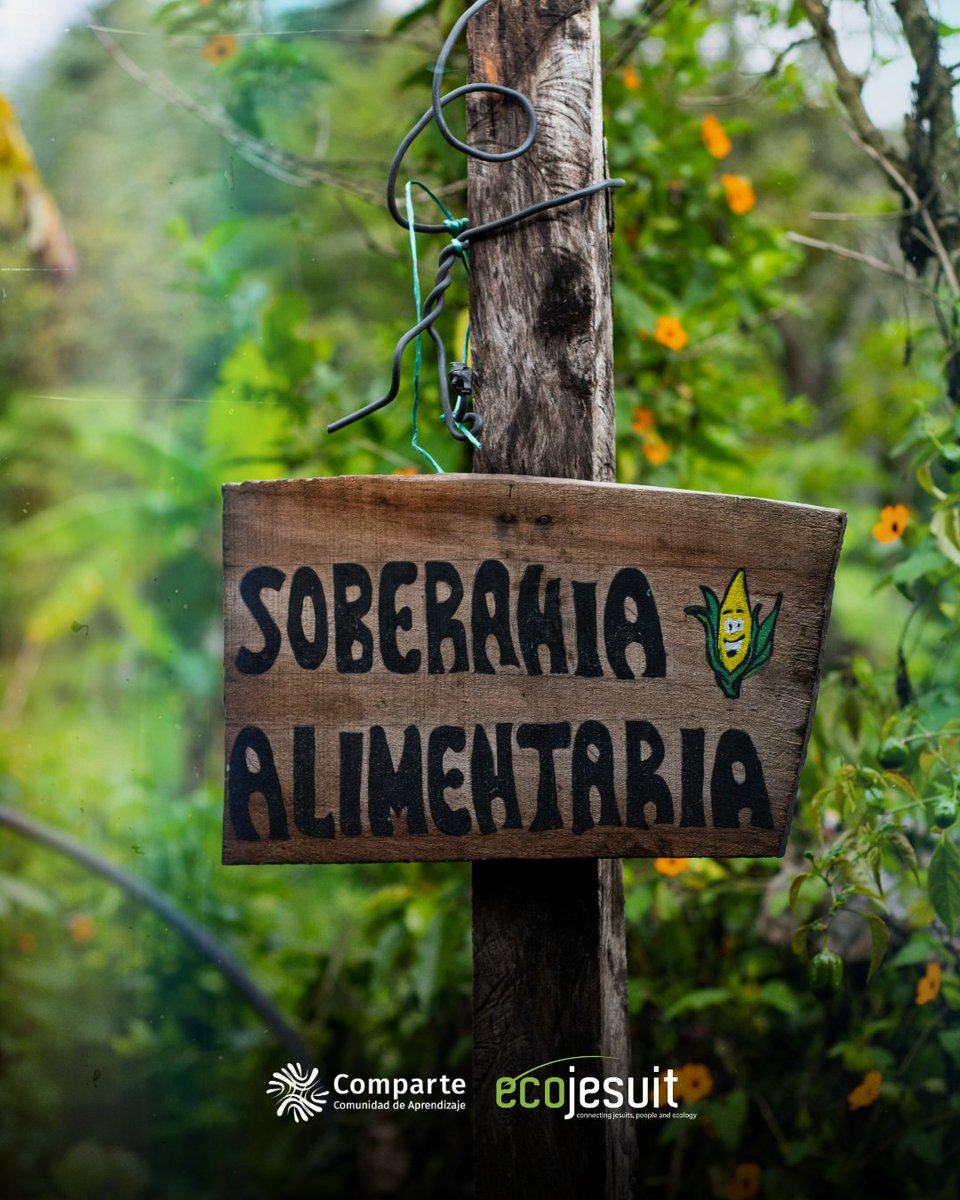 Ecojesuit tweet media