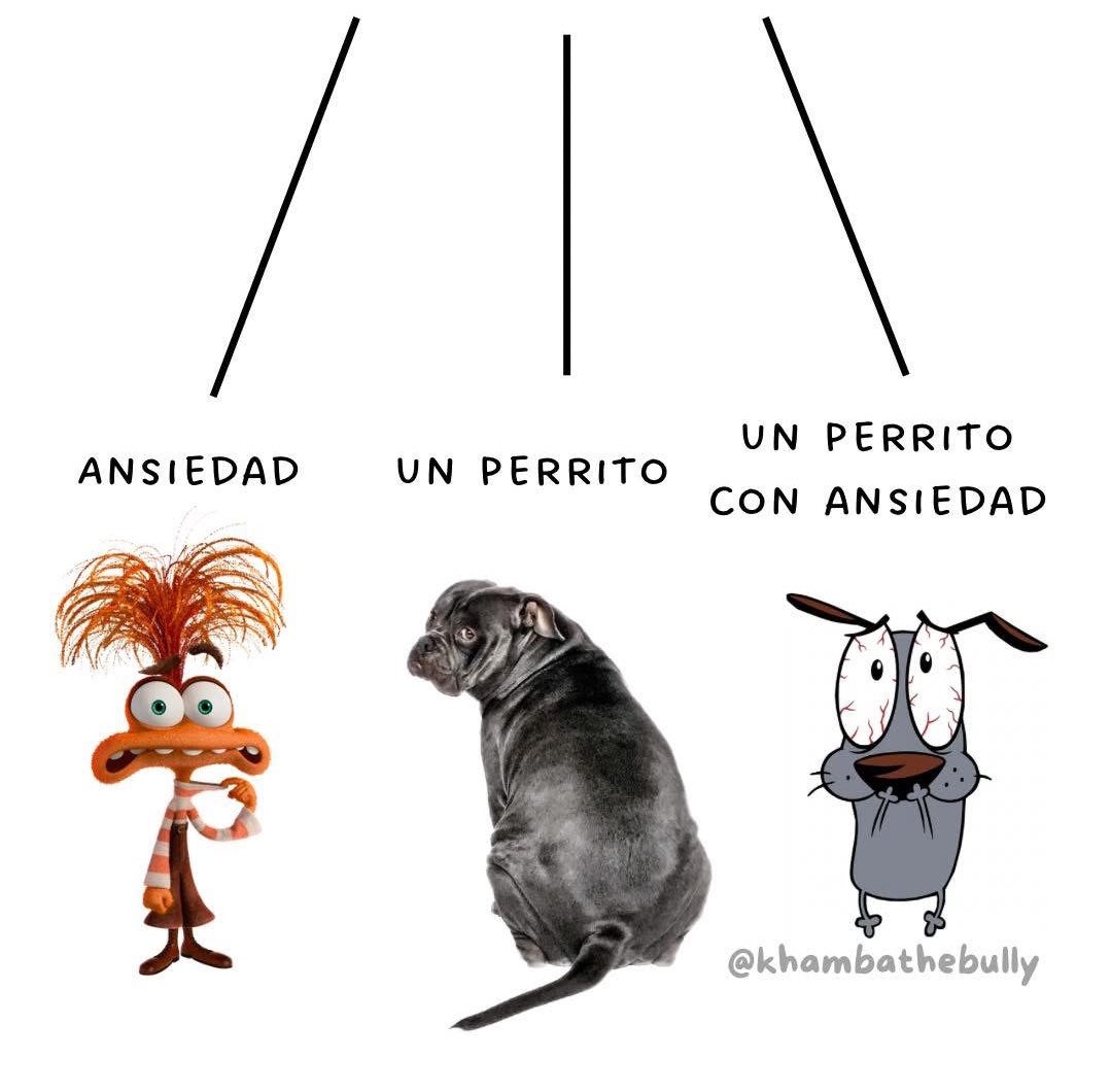 Dilo con perritos tweet media