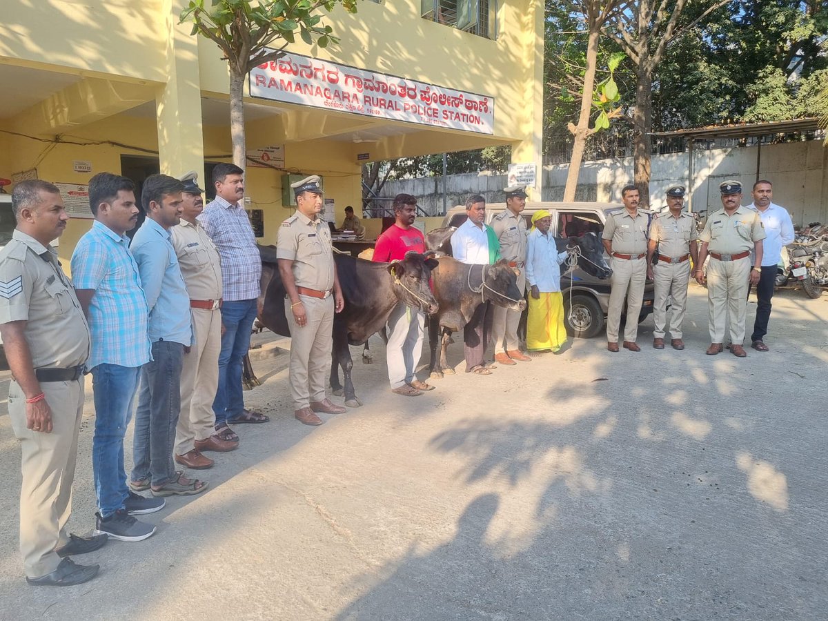 RmnRuralPS's tweet photo. ಹಸು ಕಳ್ಳತನ - ರಾಮನಗರ ಗ್ರಾಮಾಂತರ ಪೊಲೀಸರಿಂದ ಆರೋಪಿಯ ಬಂಧನ.
ರಾಮನಗರ ಗ್ರಾ ಪೊಲೀಸ್‌ ಠಾಣೆ ವ್ಯಾಪ್ತಿಯ ಬೊಮ್ಮನಾಚನಹಳ್ಳಿ ಹಾಗೂ ಚಕ್ಕೆರೆ ದೊಡ್ಡಿ ಗ್ರಾಮಗಳಲ್ಲಿ ರೈತರು ಜೀವನೋಪಾಯಕ್ಕಾಗಿ ಆಧಾರವಾಗಿದ್ದ ಹಸುಗಳನ್ನು ಕಳ್ಳತನ ಮಾಡಿರುವ ಬಗ್ಗೆ ರಾ ಗ್ರಾ ಪೊಲೀಸ್ ಠಾಣೆಯಲ್ಲಿ ಮೊ. ಸಂ : 293/2025, ಹಾಗೂ ಮೊ. ಸಂ: 25/26  ದಾಖಲಾಗಿರುತ್ತದೆ https://t.co/Q40ufJYKNI
