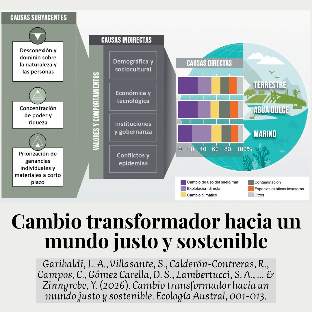 Lucas Alejandro Garibaldi tweet media