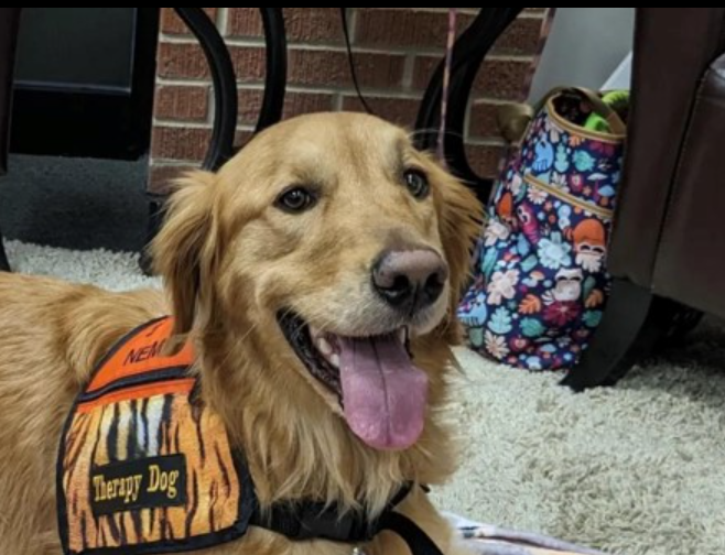 Mark your calendar 🐯-- Nemo will be here at 5:15 pm tomorrow, March 11th. Come say hi and visit! 🐾🐕 #NemoTherapy #ECUTigers #ECOKLibrary