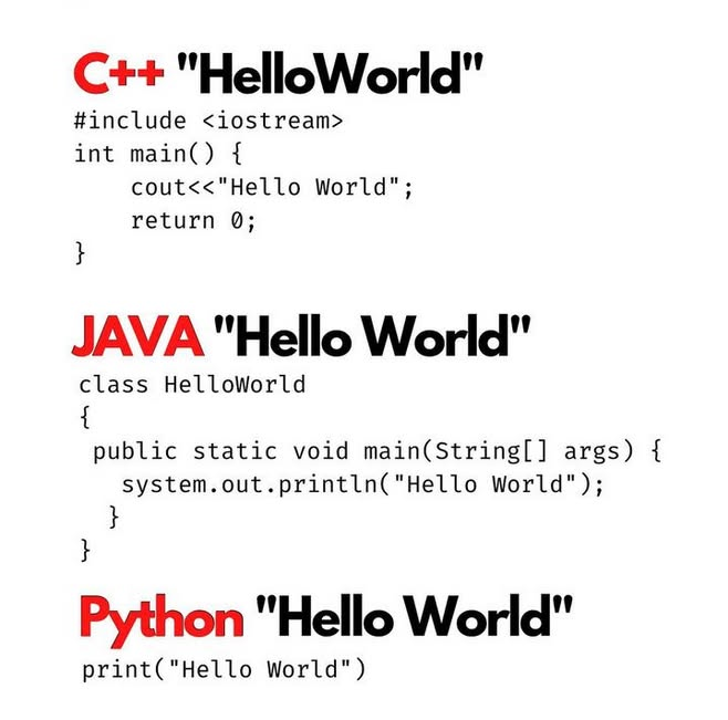 Python Programming tweet media