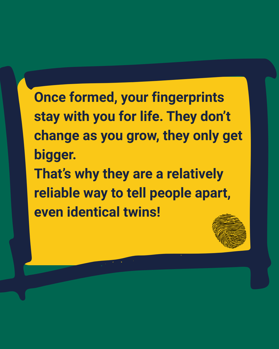 STEM Response Team - University of Wolverhampton tweet media