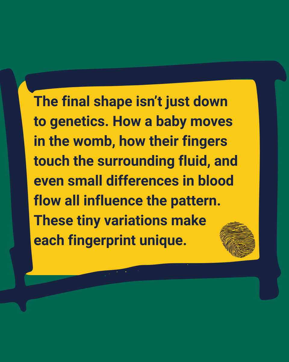 STEM Response Team - University of Wolverhampton tweet media