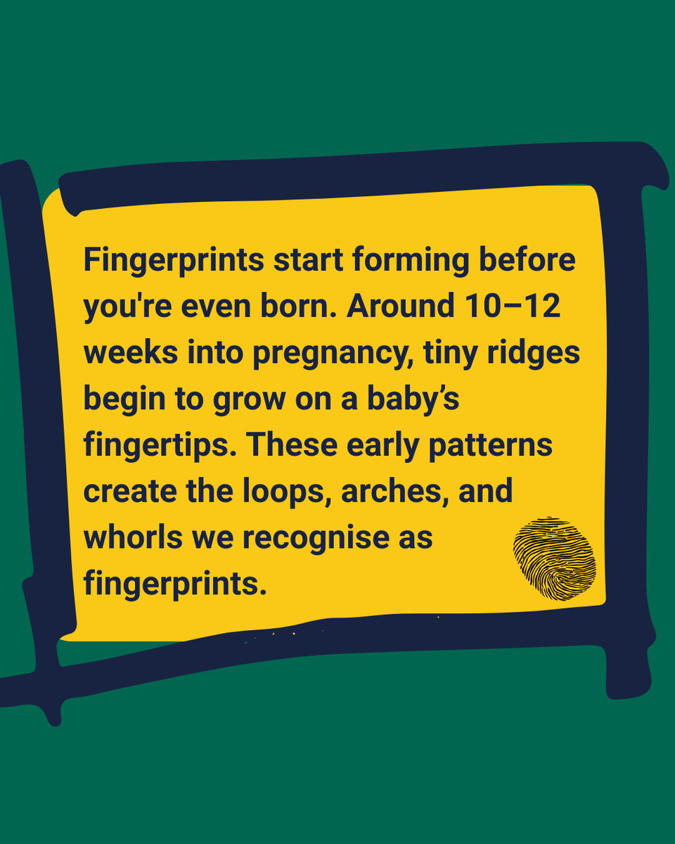 STEM Response Team - University of Wolverhampton tweet media