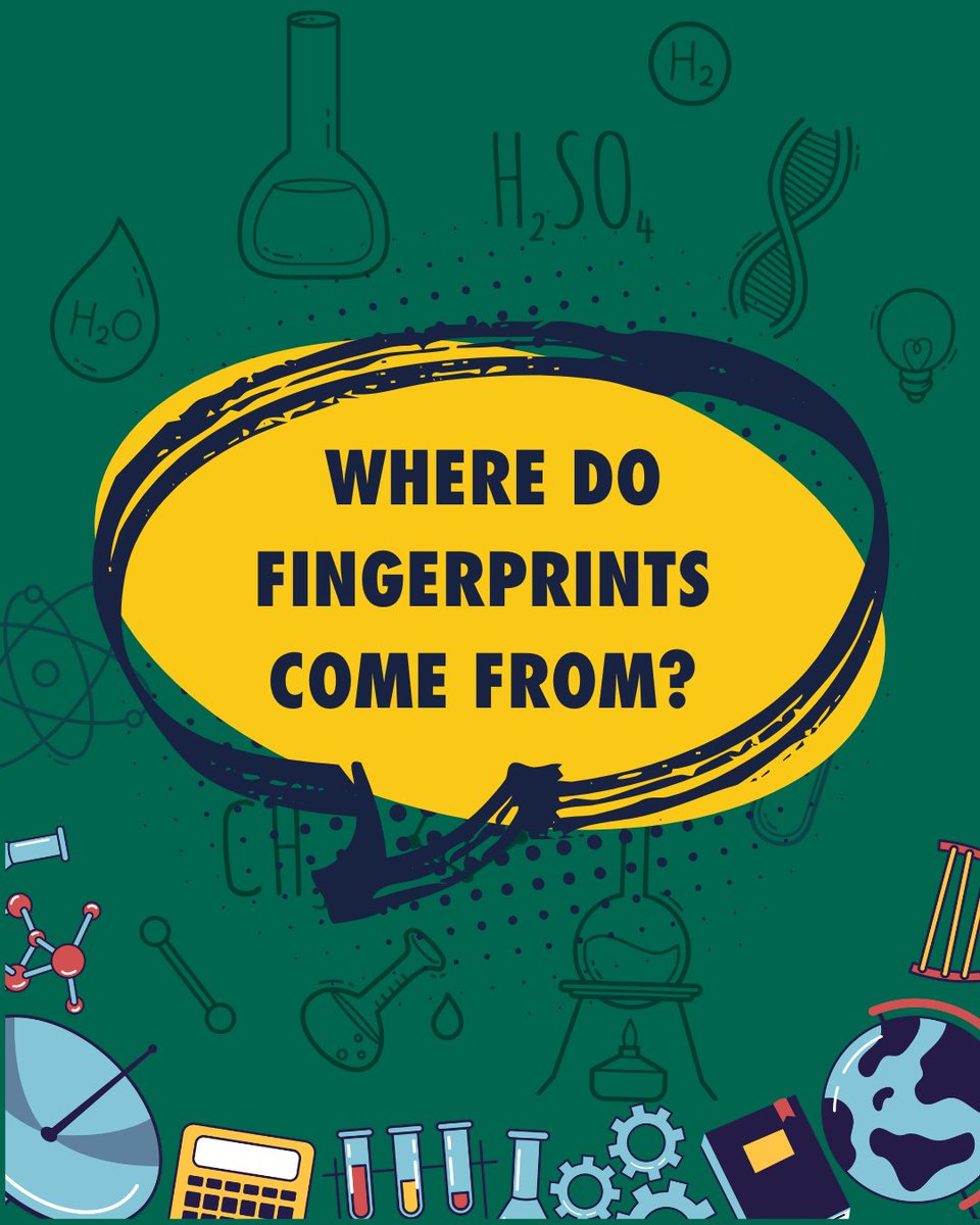 STEM Response Team - University of Wolverhampton tweet media