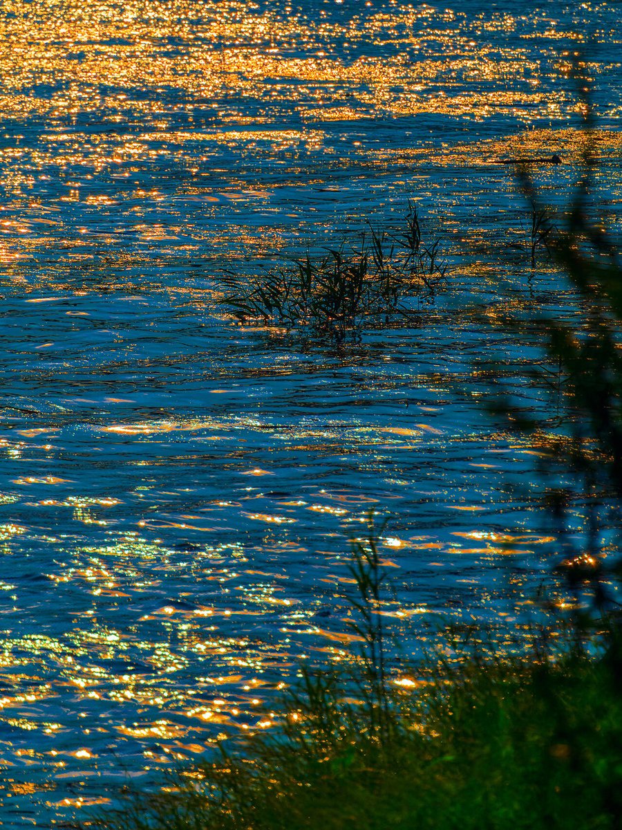 porter_oli7195's tweet image. Nikon cameras capture the world of summer light and shadow in oil paintings! I even got to see a Monet painting! #NikonZ52 #HealingLandscape #Monet #OilPainting #Photography📷 #LightIsTheSourceOfAllAtmosphere #Chongqing #OilPaintingPerspective