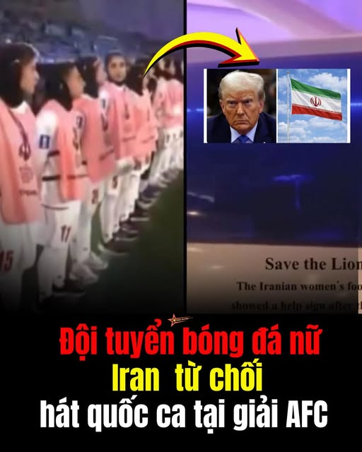 Forex Master Global 🌍 tweet media