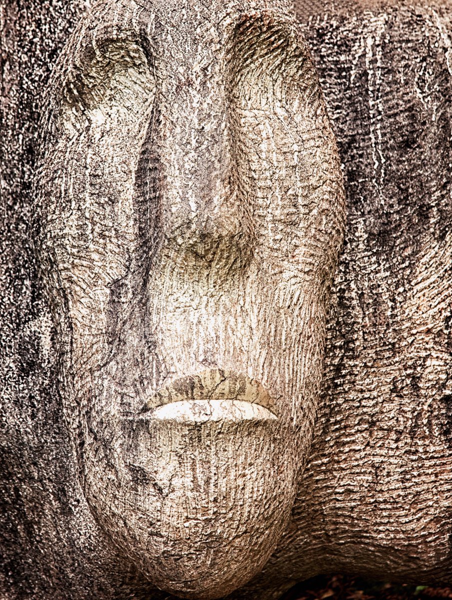 Sam_Alexandra23's tweet image. Good day Photographers!  Yes, it's #Texture Tuesday so let's share our best filled frame captures. Here I have #Stone, #Metal and #PeelingPaint on #Wood. Hope you have a terrific day out there and be safe! #Photography 📸😊